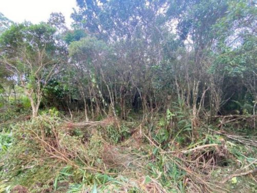 Imagem 4 de 7 de Terreno De Chácara Localizado No Bairro Chácara Glória, Em Itanhaém, Com 1680 M² De Área Total, Aceita Entrada Mais Parcelas