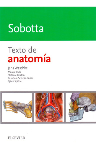 Sobotta. Texto De Anatomía