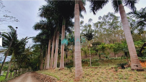 Imagem 24 de 30 de Lindo Sítio À Venda No Bairro São Luiz Em Apiúna Sc!! - Ru00003 - 69368760