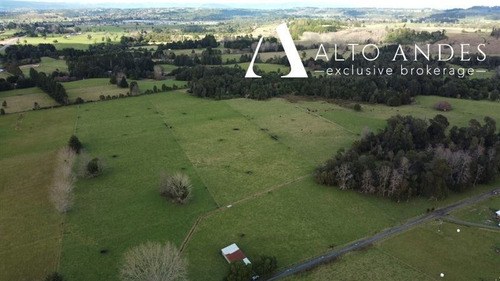Imagen 7 de 19 de Sitio En Venta En Puyehue