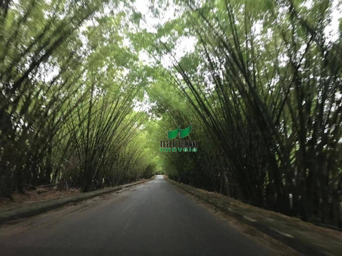 Chácara Com 2 Dormitórios À Venda, 6552 M² Por R$ 1.200.000,00 - Quingoma - Lauro De Freitas/ba - Ch0020