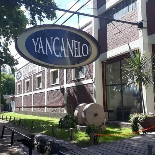 Imagen 4 de 10 de Aceite Oliva Yancanelo 1lt Extra Virgen X6 + Aceto Balsamico