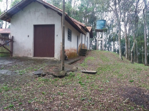 Imagem 21 de 30 de Sitio - St00010 - 33445432