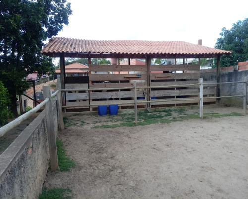 Imagem 20 de 30 de Chacara - Ch00213 - 69509504