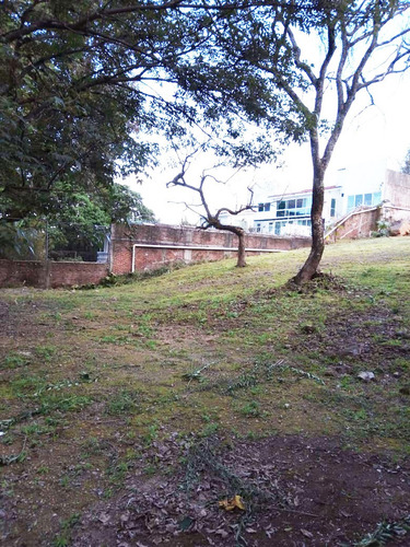 Imagen 5 de 9 de Terreno En Venta Cuernavaca Rancho Cortes Negociable