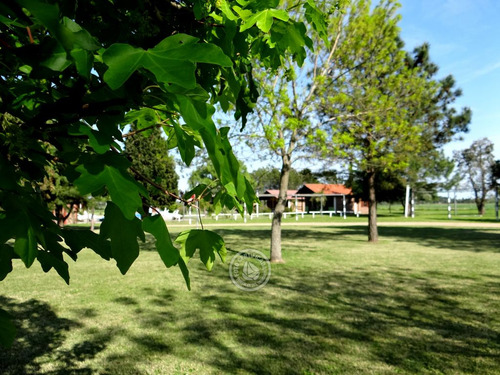 Las Martinas - Cabaña Doble En Colonia