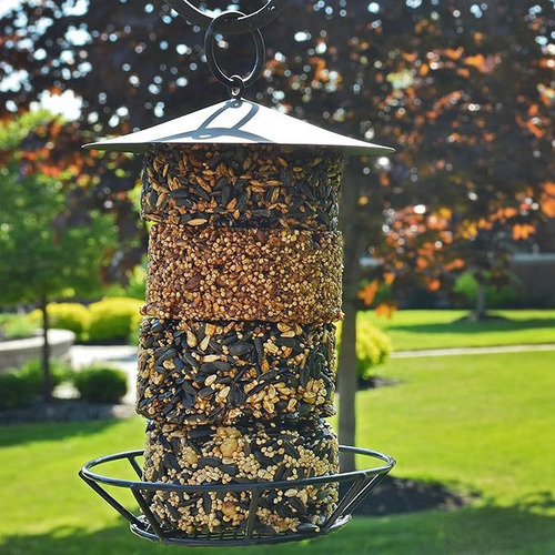 Alimentador De Aves Colgantes Dispensador De Alimentos Para