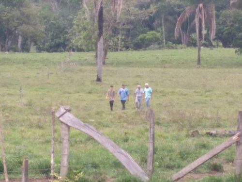 Imagen 5 de 5 de Finca En Barinas, Mun. Cruz Paredes