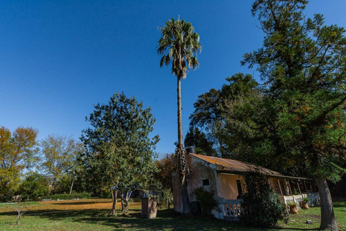 Venta Casa Quinta 20 De Junio Zona Oeste Gba