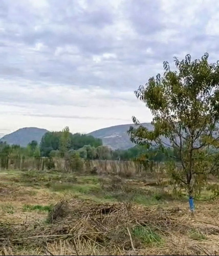 Excelente Terreno 3600 M2 Vi Región (177158)