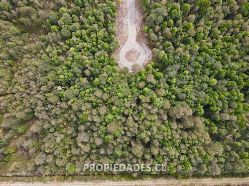Imagen 9 de 15 de Sitio En Venta En Puerto Varas / Lomas Del Maullin