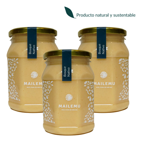 Pack 3 Un. Miel Pura Abejas Bosque Nativo 1kg - Mailemu