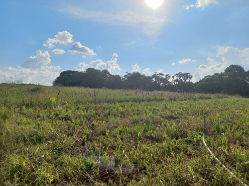 Imagem 18 de 18 de 11o- Terreno Próximo À Carapicuiba