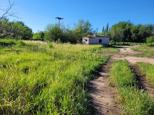 Terreno En San José Dpto San Javier Córdoba Lote Venta