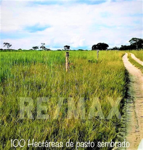 Imagen 4 de 4 de Vende Finca Terreno Upata