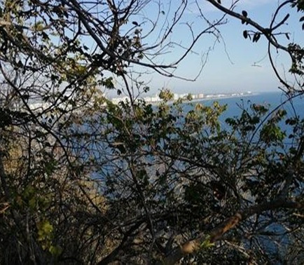 Imagen 3 de 13 de Punta Diamante, Terreno, Venta, Acapulco, Guerrero