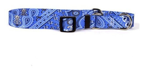 Collar De Perro De Control Bandana Azul Martingala - Tamaño 