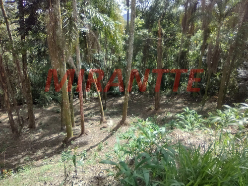 Imagem 3 de 4 de Terreno Em Serra Da Cantareira - Mairiporã, Sp - 365135