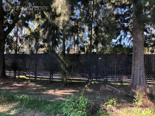 Imagen 6 de 13 de Terreno En Venta- Oportunidad- San Isidro Labrador