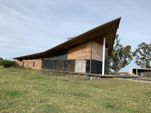 Imagen 3 de 17 de Venta- Campo De 82 Hectáreas En Goldney