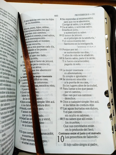 Imagen 8 de 10 de Biblia Rvr1960 Letra Grande Imit Piel Café Con Cierre/índice