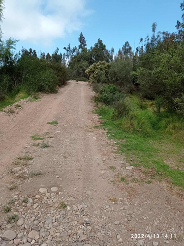 Terreno Urbano Sector Pampa Alta