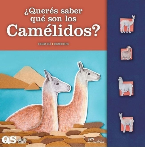 Queres Saber Que Son Los Camelidos?