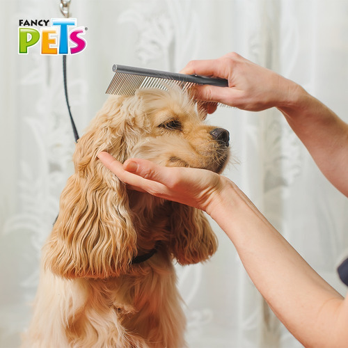 Imagen 2 de 4 de Peine De Acero Inoxidable Combinado 26cm Fancy Pets Fl8362