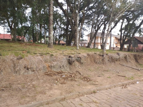 Imagem 14 de 15 de Area - Vila Boeira - Ref: 3576 - V-gi3582