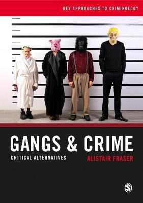 Libro Gangs & Crime : Critical Alternatives - Alistair Fr...