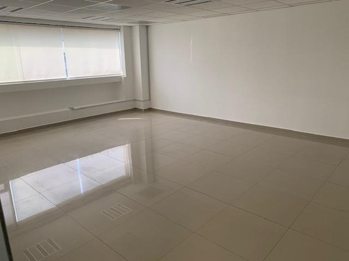 Anzures, Oficina 242m2 Completamente Acondicionad, 7 Amplios Privados, Sala De Juntas, Amplias Áreas Abiertas De Trabajo, 2 Estacionamientos, 2 Baños, Área De Cocina. Excelente Ubicación, Muy Cerca D