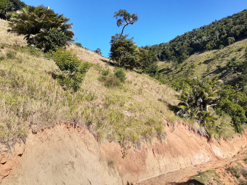 Imagem 12 de 14 de Vendo Chacara De 2,5 Alq Região De Natividade Da Serra (4238