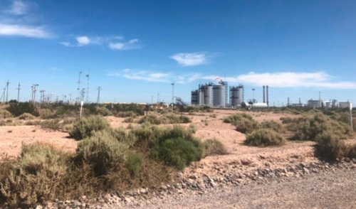 Campo En Vaca Muerta Yacimiento Petrolero El Córcovo