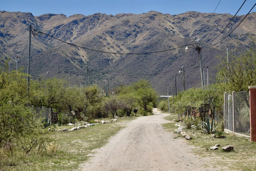 Lotes En Carpinteria De 1000m2, Sobre Calle El Poleo