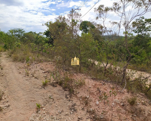 Imagem 9 de 10 de Lote No Bairro Parque Novo Ceasa - Esmeraldas - Te00336 - 68908874