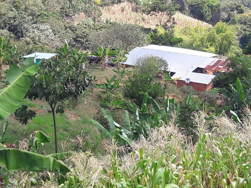 Se Vende O Se Permuta Hermosa Finca En El Tolima Caserio De Padilla