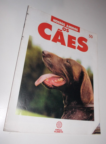 Revista Nossos Amigos Os Cães Pastor Alemão E Belga Vol 50 