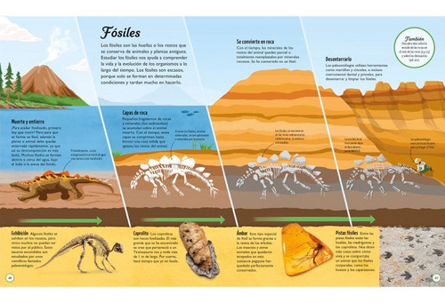 Libro Los Ciclos De La Vida