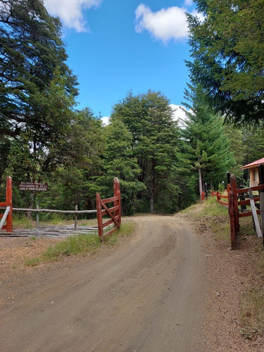 Maravillosa Parcela En Palguin, Pucón