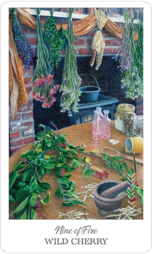 Imagem 2 de 10 de The Herbcrafters Tarot Original