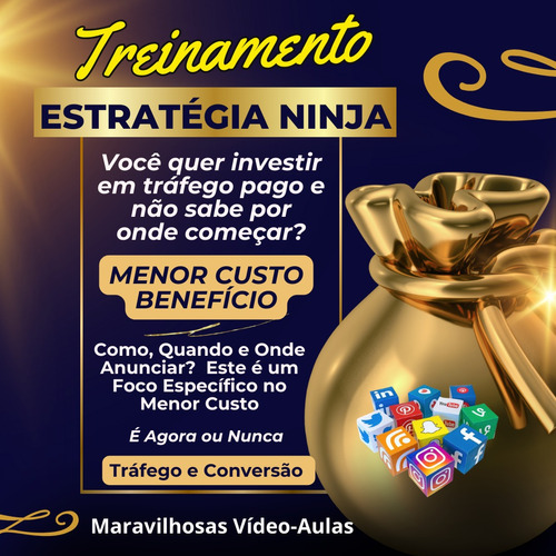 Tráfego Pago Estratégia Ninja Lides Clientes Negócios Videos