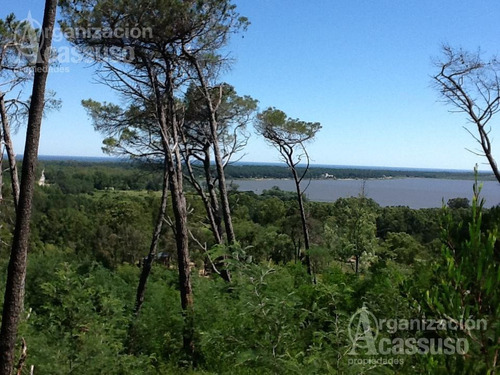 Imagen 14 de 19 de Punta Del Este - Chacra Venta Usd 1.100.000