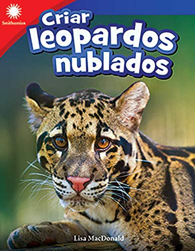 Criar Leopardos Nublados (raising Clouded Leopards)