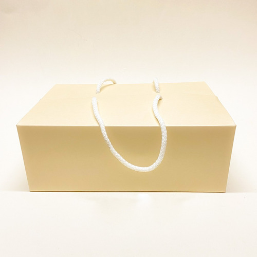 Imagen 4 de 7 de Caja Bolsa Premium Rígida C/cordón 18x25x18cm (x50u) 215
