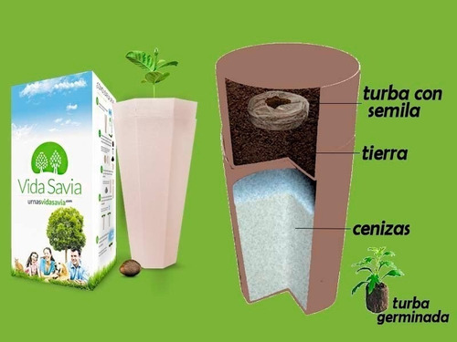 Urnas Para Cenizas Biodegradable Vida Savia
