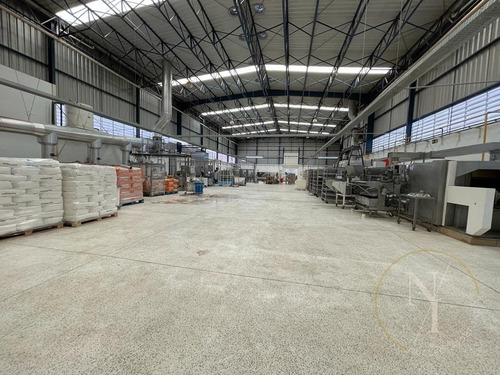 Imagem 5 de 15 de Excelente Galpão - 1400m² - Ramo Alimentício - Vila Lucia - São Paulo - 6726