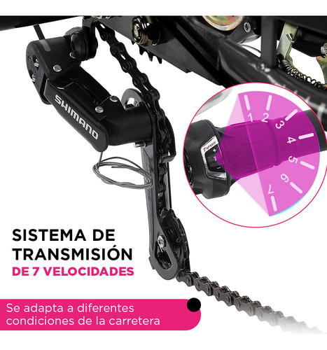 Bicicleta Triciclo Para Adultos C/cesta Y Asiento Ajustable Color Negro Tamaño Del Cuadro 24
