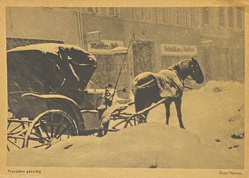 Antigua Postal, Circa 1900, Calle, Caballo, Alemania, 3p47