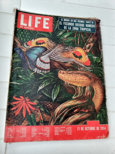 Revista Life - 11/10/1954 El Fecundo Bosque Humedo Tropical