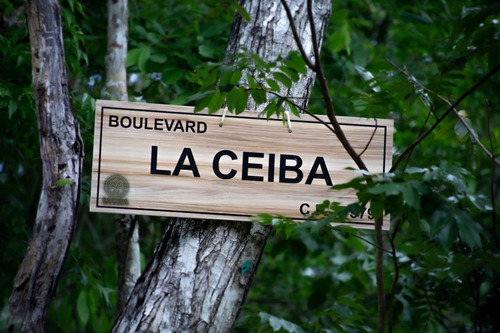 Terreno En Boulevard La Ceiba, Lázaro Cárdenas